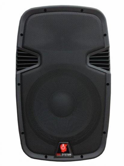 Igo System SSP2112 - Kolumna pasywna 12 Igo System SSP2112 - Kolumna pasywna 12