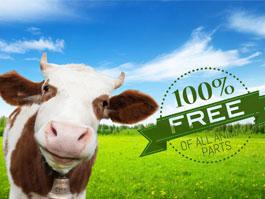 vegan-free-10040022_83200.jpg